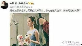 娱乐吃瓜刘诗诗